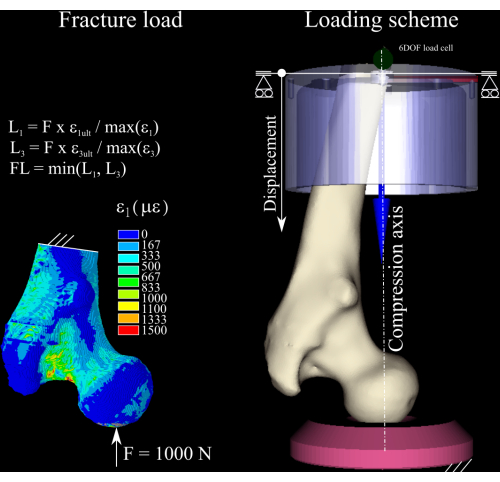 figure-protocol-3540