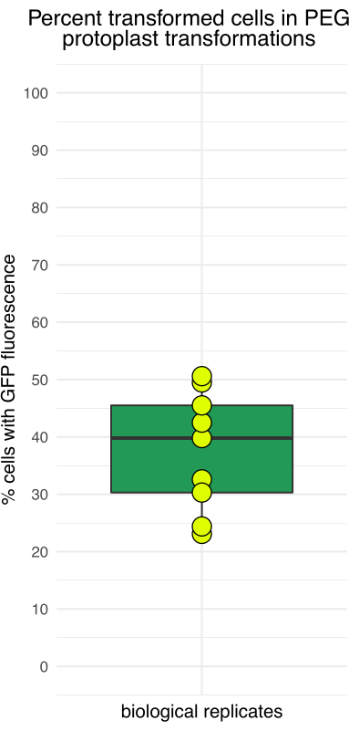 figure-representative results-4152