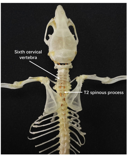 figure-representative results-4131