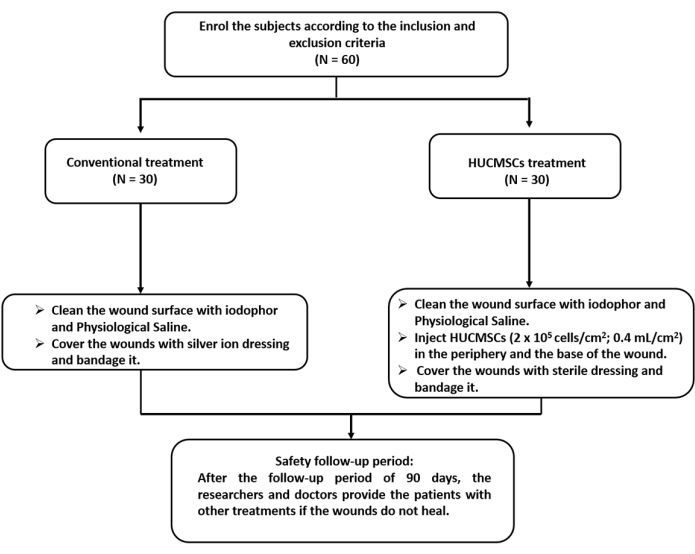 figure-protocol-5156