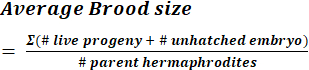 figure-protocol-8654