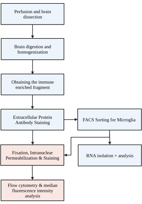 figure-protocol-319