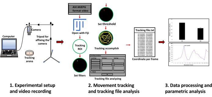 The Drosophila Individual Activity Monitoring and Detection System