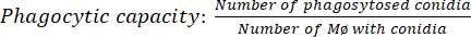 figure-protocol-5175
