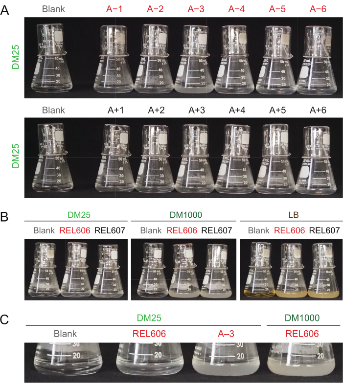 figure-representative results-1256