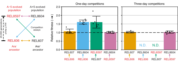 figure-representative results-18134