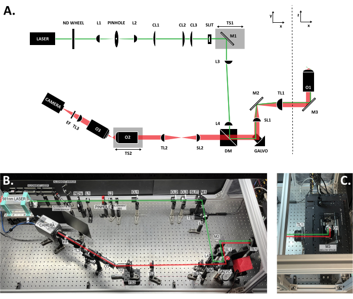 figure-protocol-8871