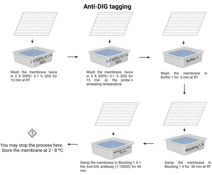 figure-protocol-10732