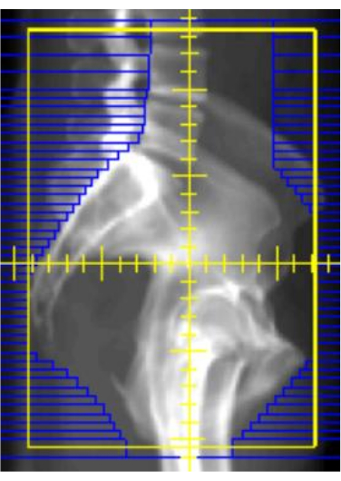 figure-representative results-3743