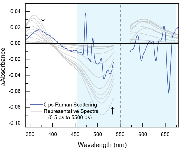 figure-representative results-6537