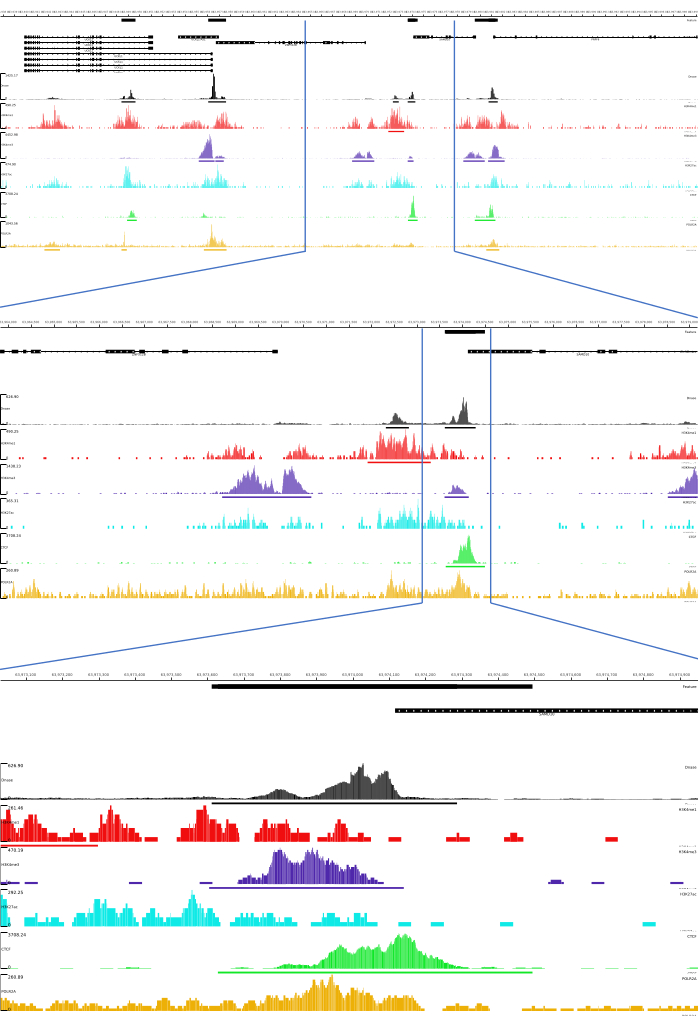 figure-representative results-2973