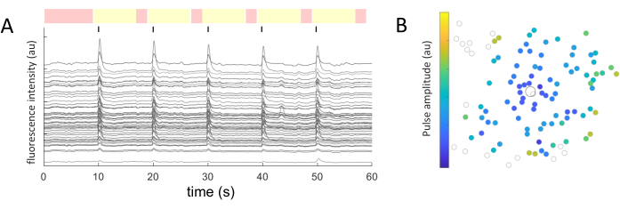 figure-representative results-10894