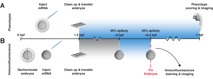 figure-representative results-8809