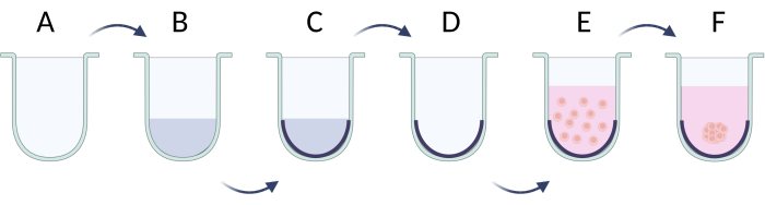 figure-protocol-14821