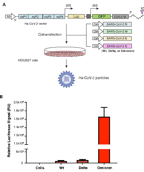 figure-representative results-2133