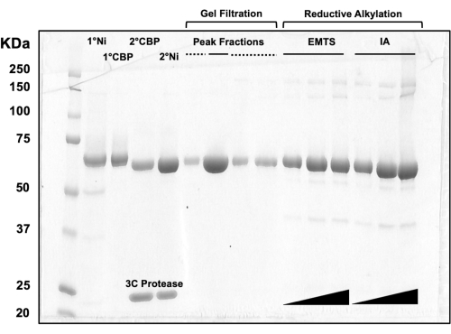 figure-results-1994