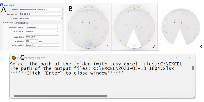 figure-protocol-9656