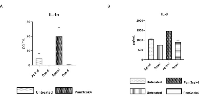 figure-representative results-11805