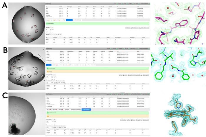 figure-representative results-14859