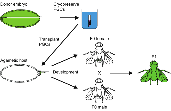 figure-representative results-6080