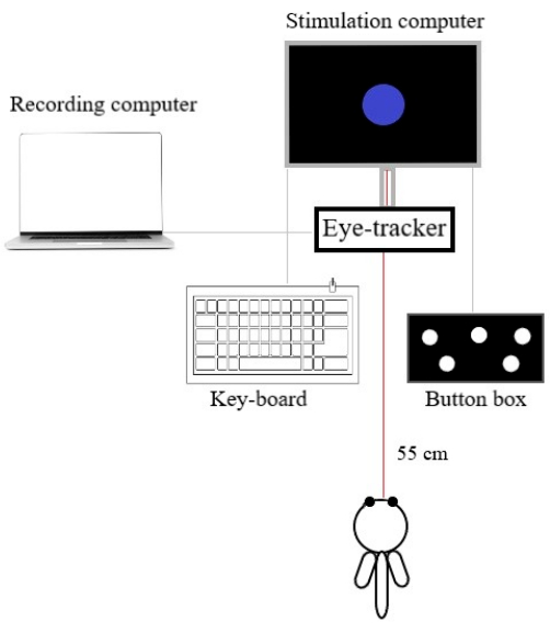 figure-protocol-11948