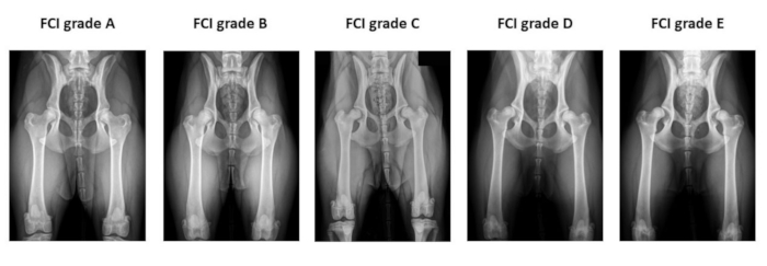 figure-representative results-4096