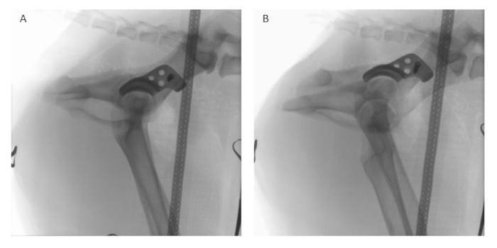 figure-results-11006