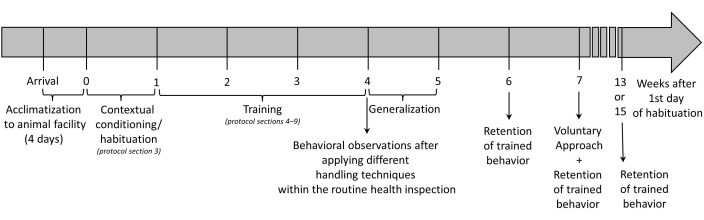 figure-results-17968