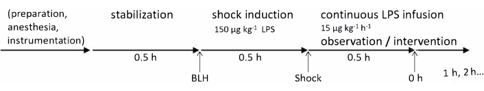 figure-protocol-563