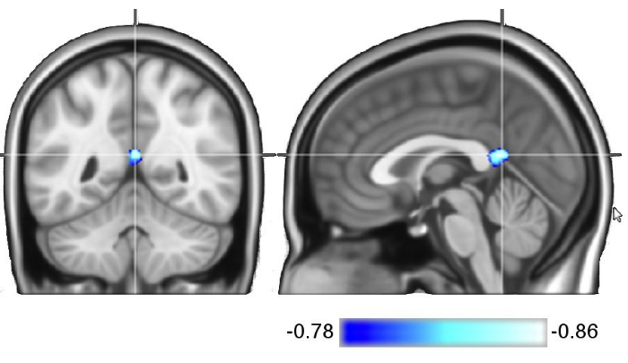 figure-representative results-528