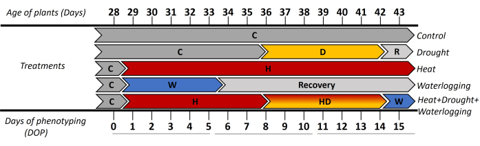 figure-representative results-5675