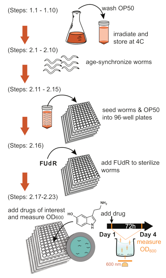 figure-protocol-25