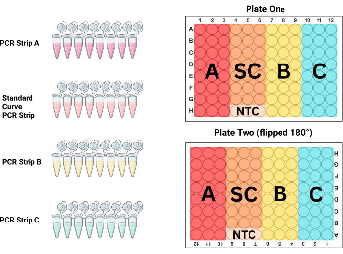 figure-protocol-15573