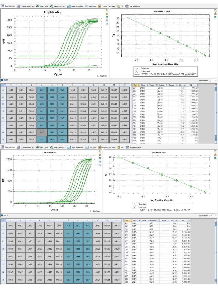 figure-protocol-28561