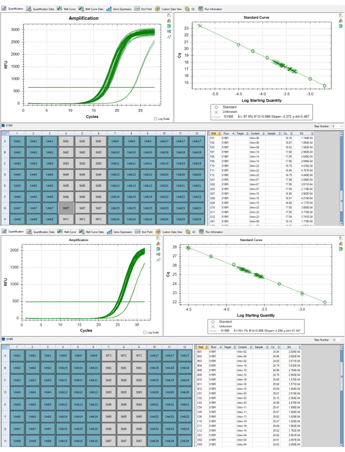 figure-protocol-29246