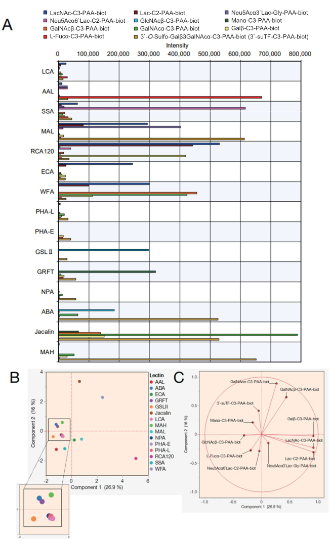 figure-representative results-15613