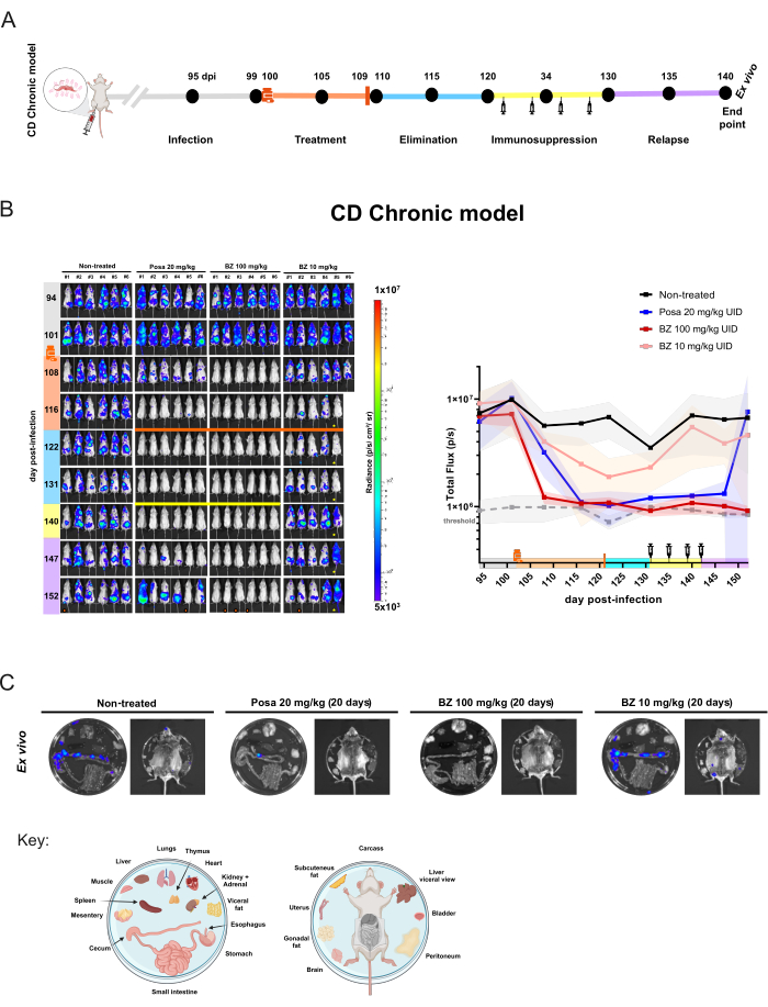 figure-representative results-10528