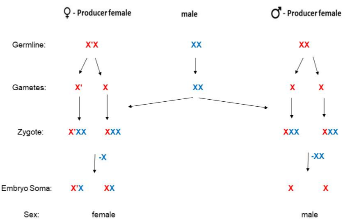 figure-introduction-9653