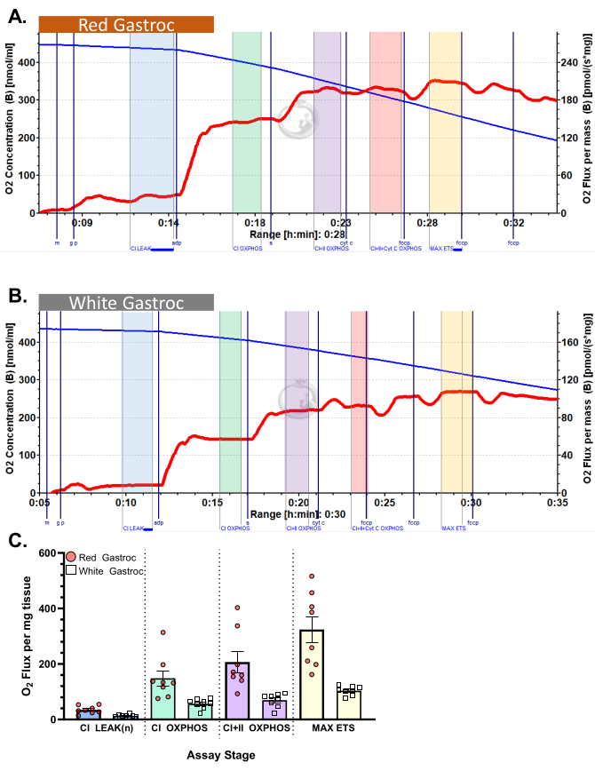 figure-representative results-1398