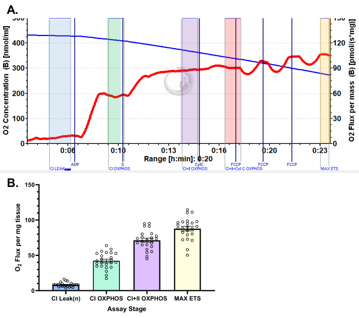 figure-representative results-4440