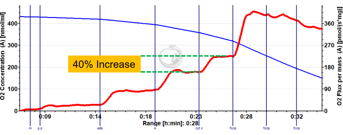 figure-representative results-5937