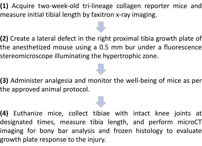 figure-protocol-430