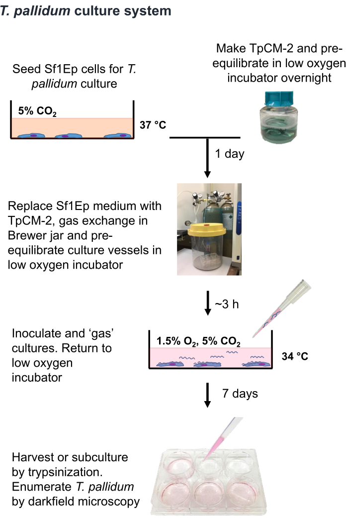 figure-results-2543