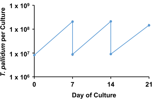 figure-results-5472