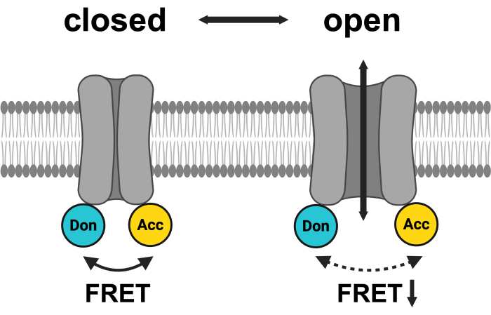 figure-introduction-8087