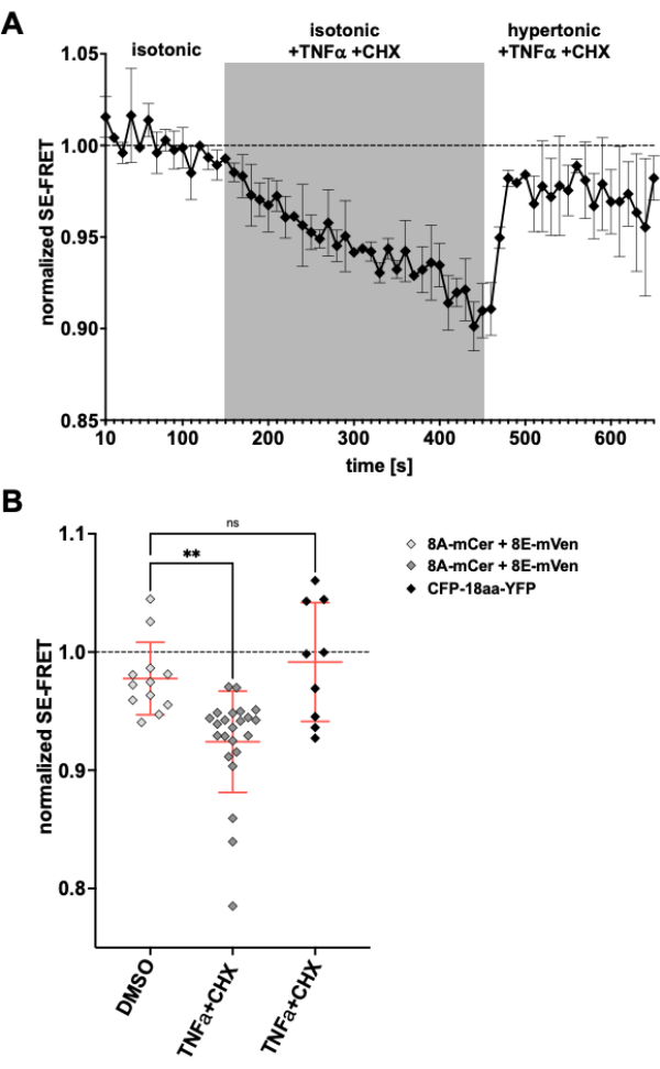 figure-representative results-2731