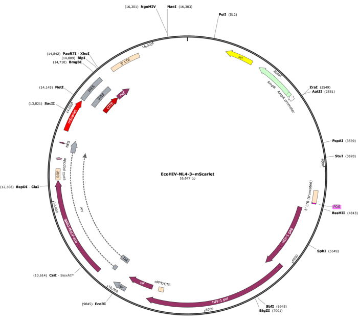 figure-representative results-2192