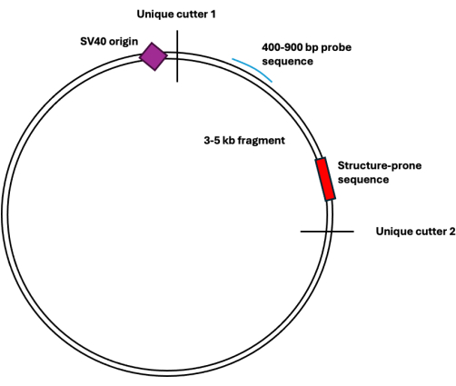 figure-protocol-490