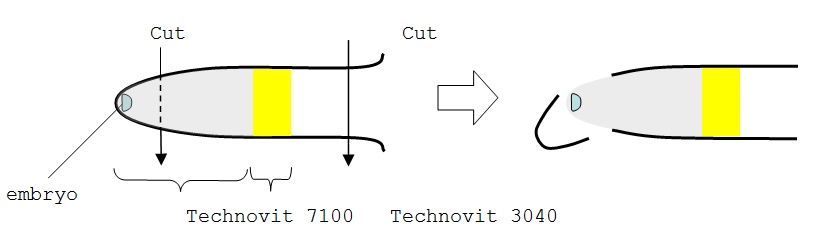figure-protocol-4219