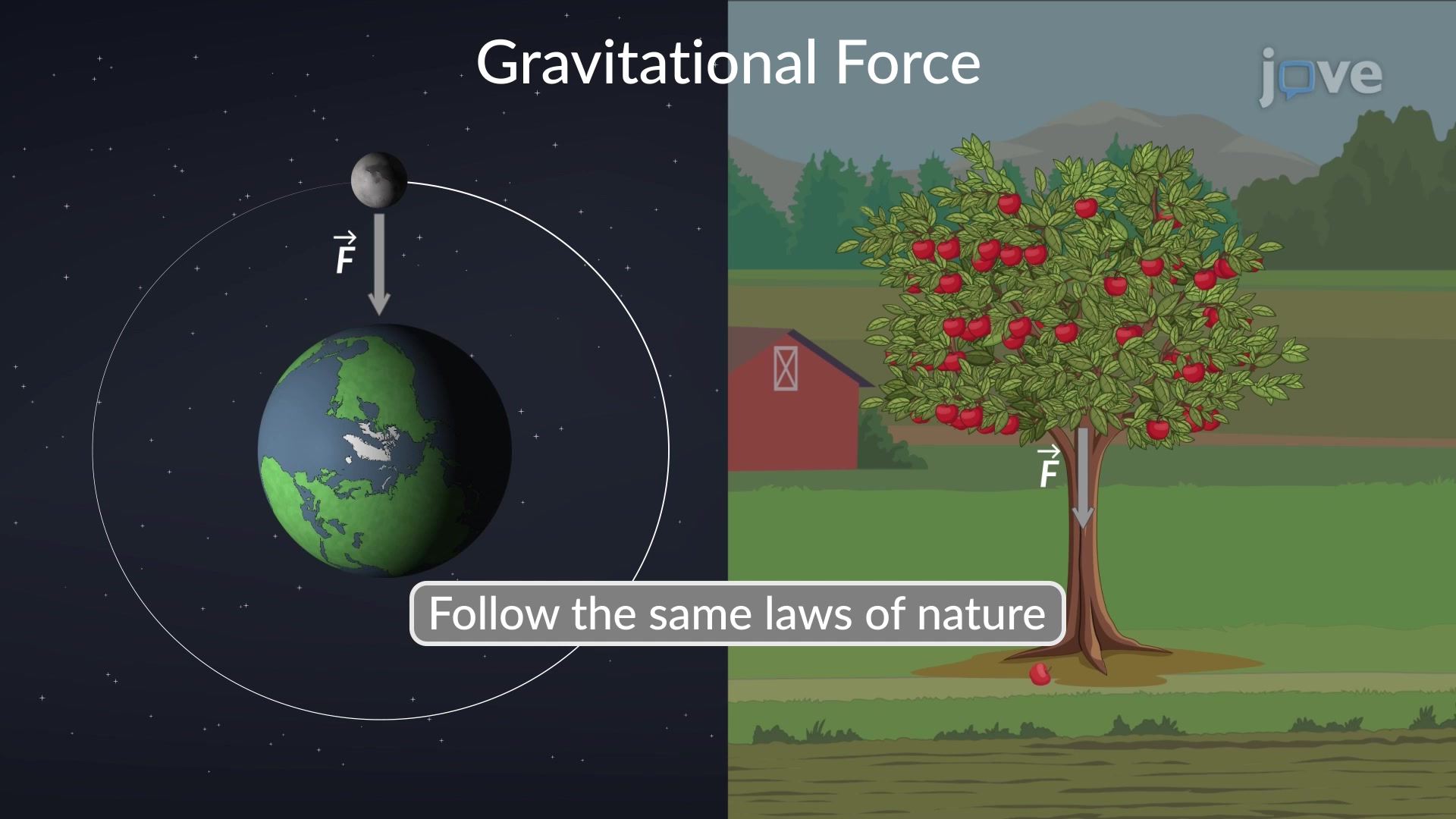 gravitational force examples